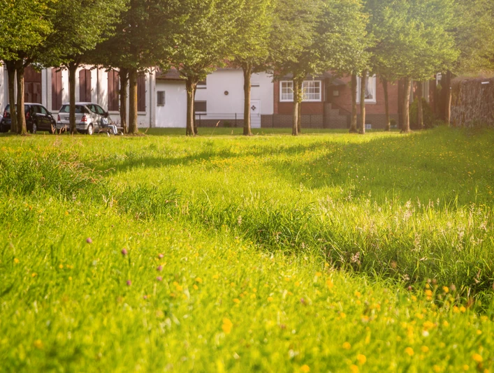 Natur entlang der Stadtmauer Grüne Wiese und Bäume säumen eine historische Stadtmauer an einem sonnigen Tag, Spazierweg entlang.