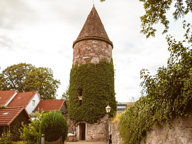 Wehrturm mit runder, begrünten Fassade und spitzem Dach, umgeben von Häusern und Bäumen.
