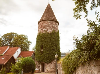Wehrturm Wehrturm mit runder, begrünten Fassade und spitzem Dach, umgeben von Häusern und Bäumen.