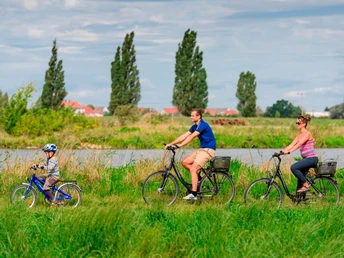 Mulderadweg Vereinigte Mulde