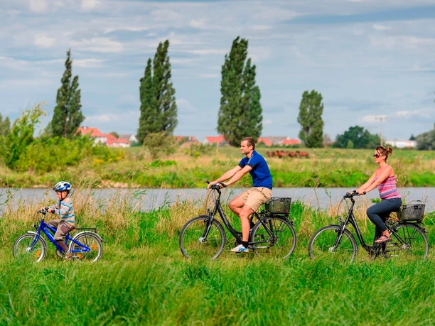 Mulderadweg Vereinigte Mulde