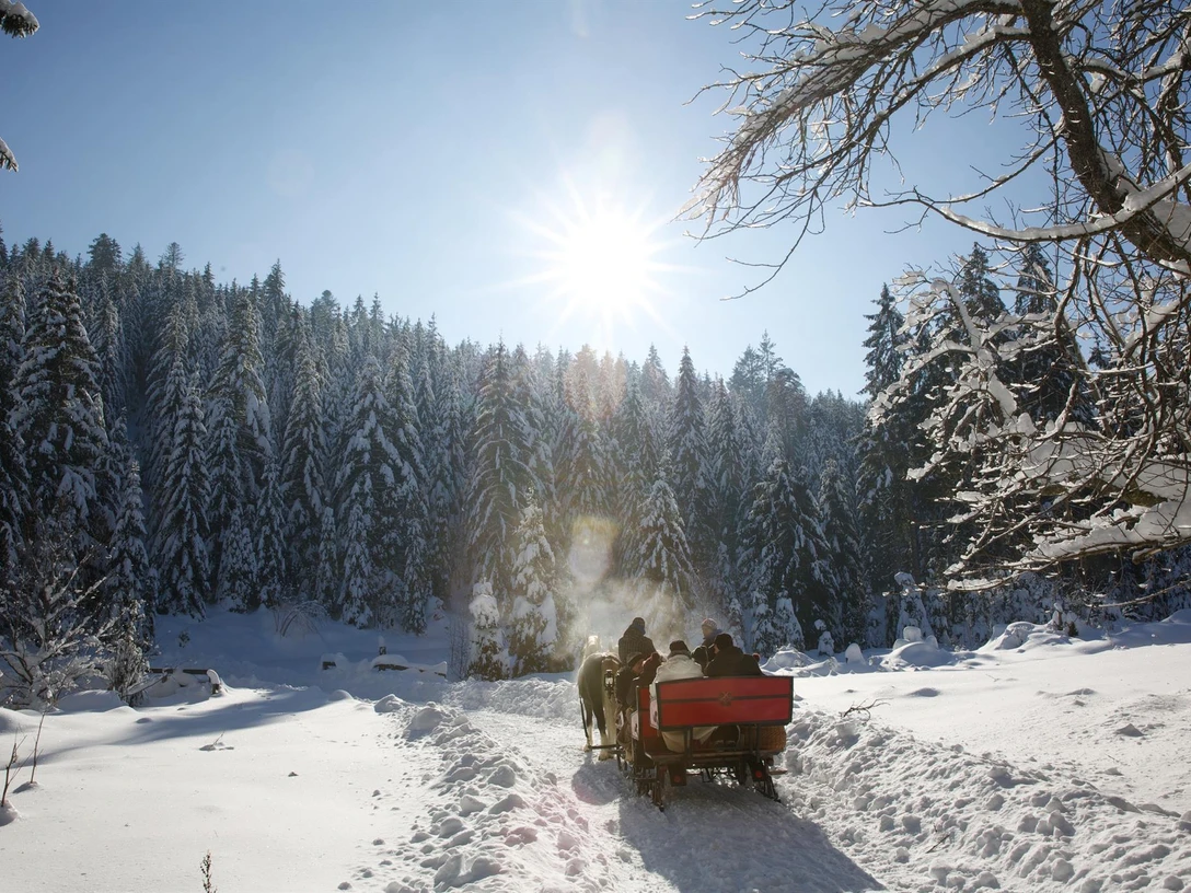 Kutschfahrt ins romantische Tonbachtal