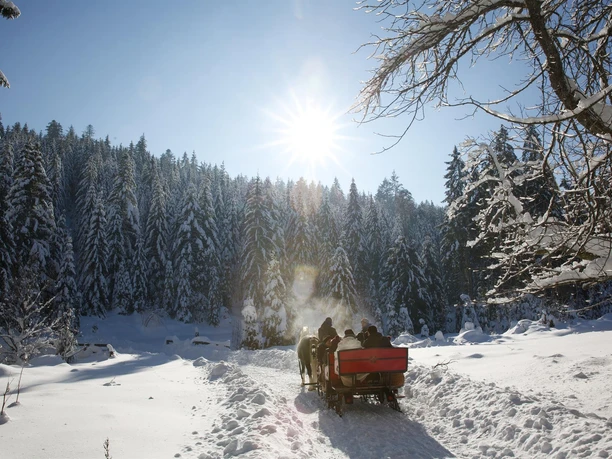 Kutschfahrt ins romantische Tonbachtal