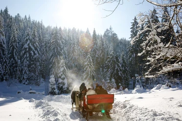 Kutschfahrt ins romantische Tonbachtal