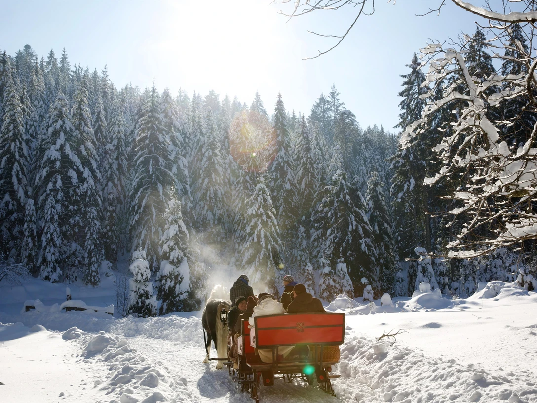 Kutschfahrt ins romantische Tonbachtal