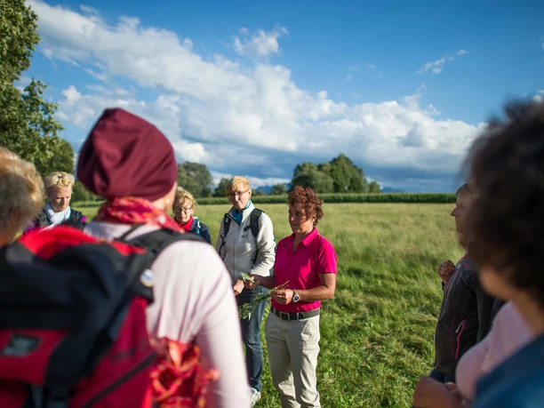 kraeuterwanderung-kraut-gewachsen-bad-aibling-fuehrung-bewegt-1.jpg