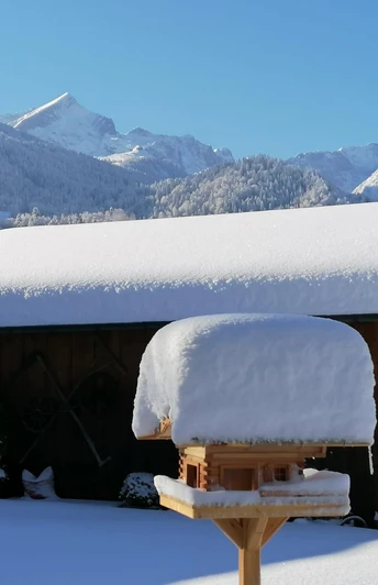 Alpspitze v. der Terrasse