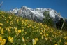 Frühling Karwendel Frühling Karwendel