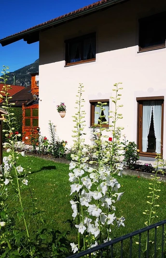 Bild Haus außen Fewo