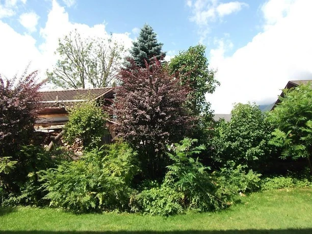 Blick von der Terrasse