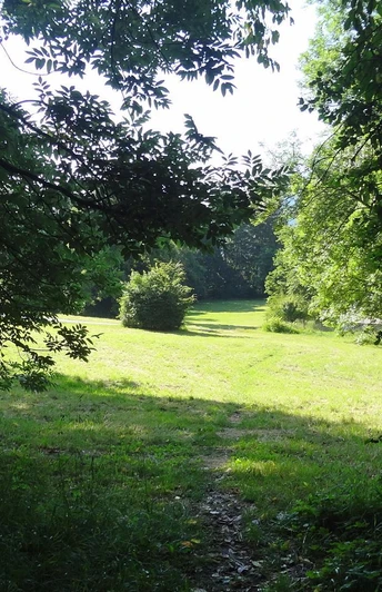 Spaziergang ums Haus