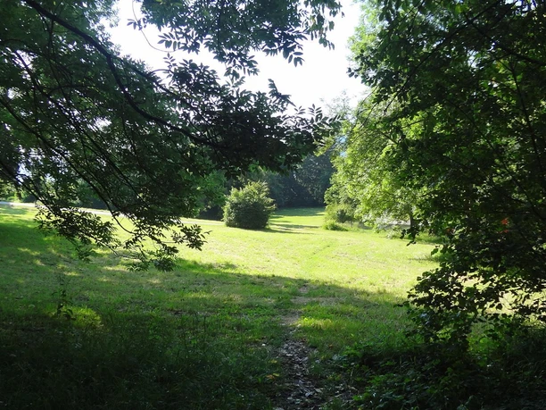 Spaziergang ums Haus