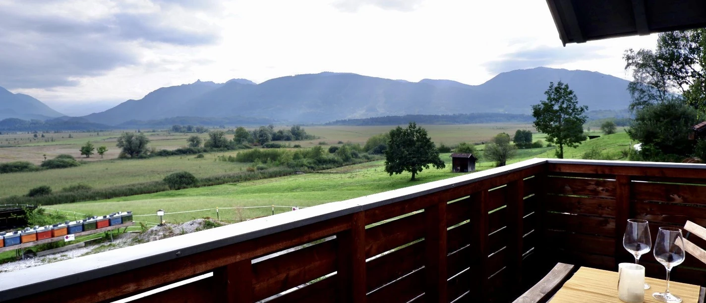 6F6456A9-611C-48D2-B43F-37FAC2E75441