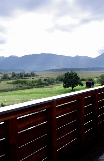 6F6456A9-611C-48D2-B43F-37FAC2E75441