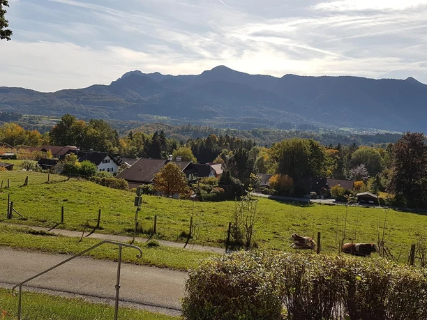 Aussicht von der Terrasse