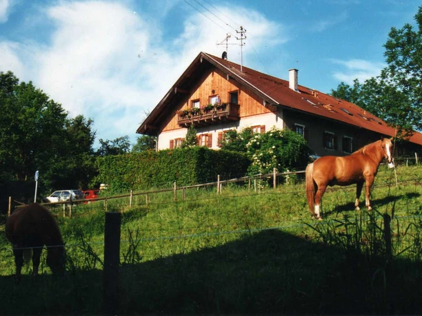 Haus