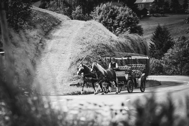 Kutschfahrt ins romantische Tonbachtal