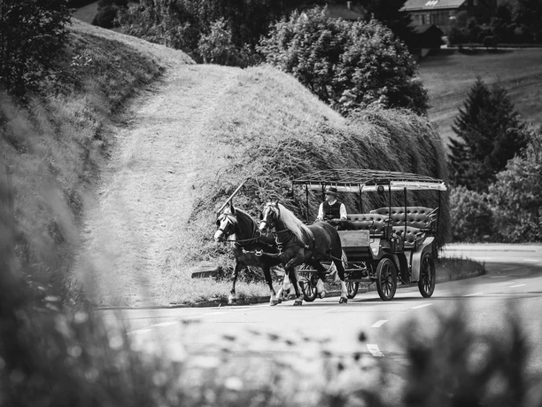 Kutschfahrt ins romantische Tonbachtal
