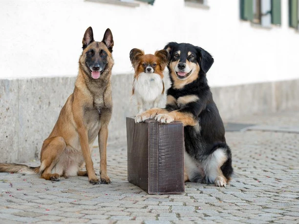 Auf gehts in den Urlaub