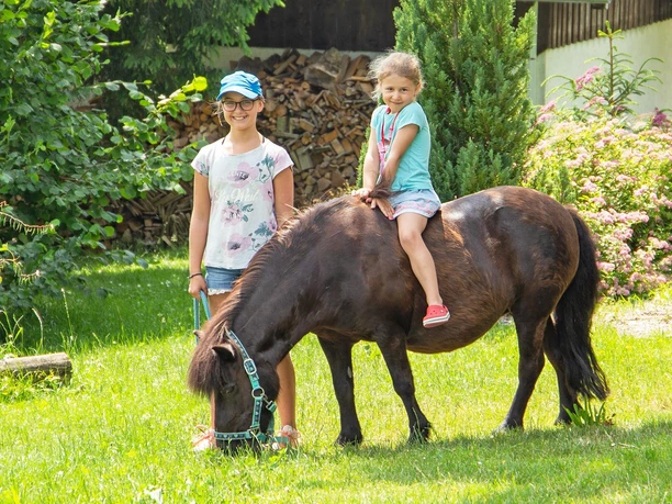 Unser Pony Helen