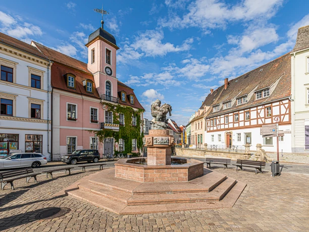 Historic market square with fountain, surrounded by old buildings and a church under a blue sky.