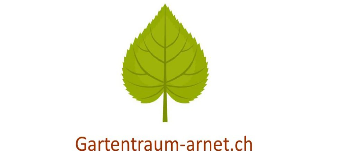 logo arnet gross.jpg