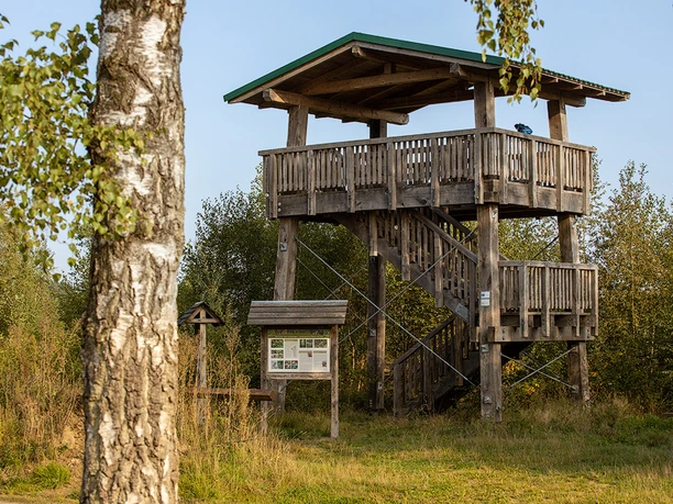 Aussichtsturm im Becklinger Moor