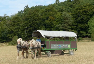 Fuhrhalterei Arche-Hof Kellerwald