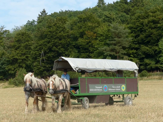 Fuhrhalterei Arche-Hof Kellerwald