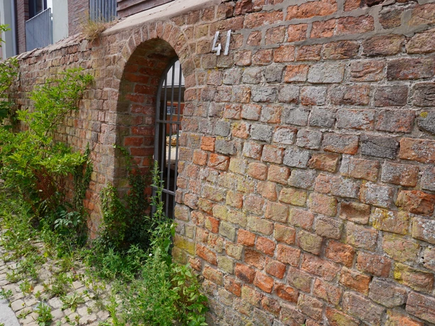 Alte Backsteinmauer mit Torbogen und Hausnummer 41, überwuchert von Grünpflanzen an einem gepflasterten Weg.