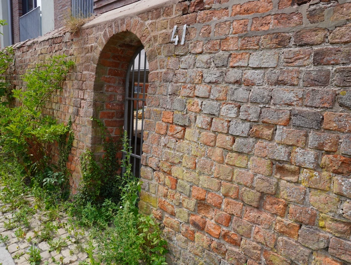 Alte Backsteinmauer mit Torbogen und Hausnummer 41, überwuchert von Grünpflanzen an einem gepflasterten Weg.