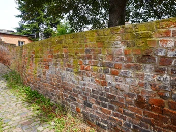 Stadtmauer Sandberg Verden Historische Backsteinmauer in Verden, überzogen mit Moos und von Kopfsteinpflaster umgeben.
