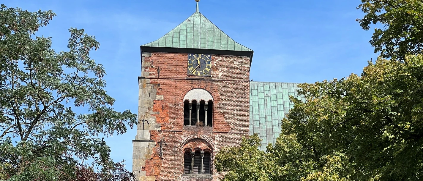 Dom Verden Roter Backstein-Dom mit grünem Dach, Uhr und Türmen umrahmt von dichten grünen Bäumen.