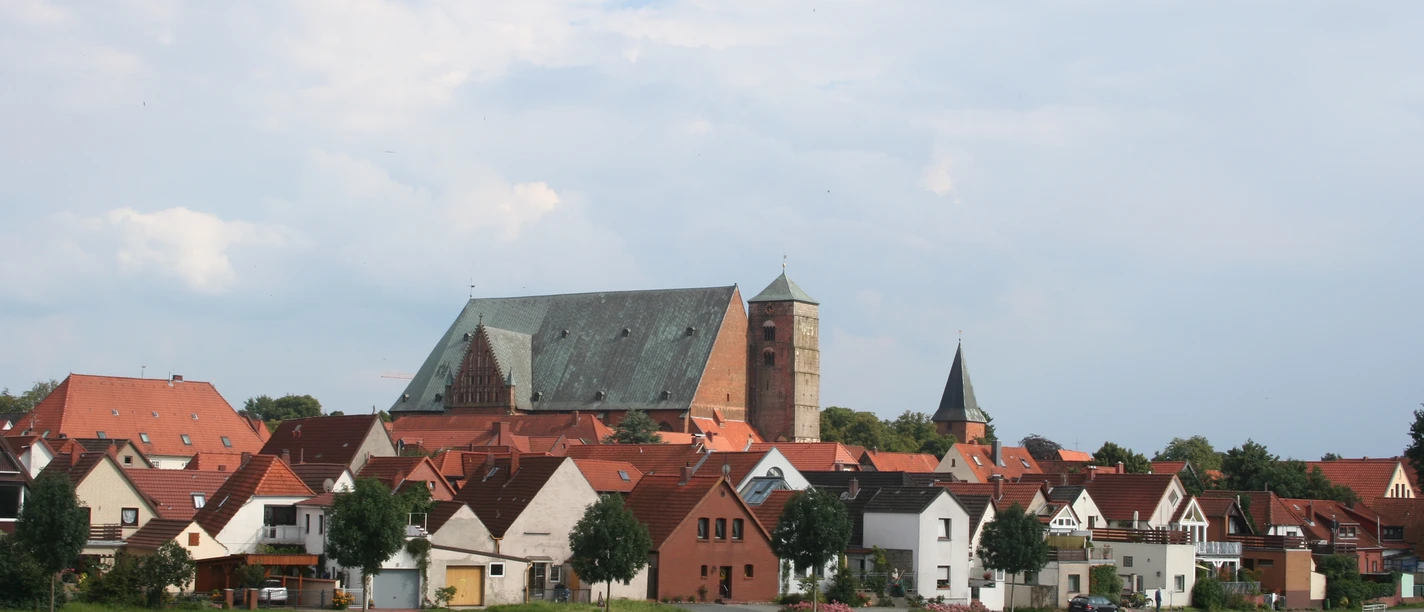 A medieval cathedral towers over a village with red roofs on the banks of a tranquil river.