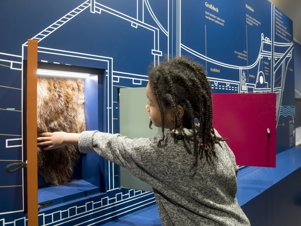 Dauerausstellung, © Ostpreußisches Landesmuseum