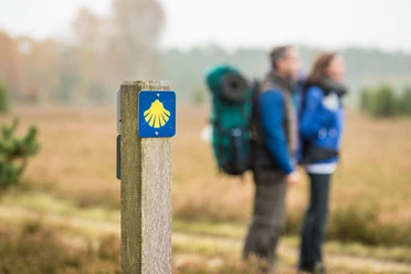 Jacobusweg Lüneburger Heide gelbe Muschel auf blauem Grund, die Beschilderung des Jacobuswegs