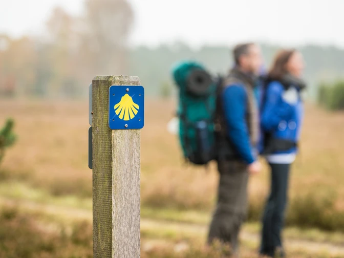Jacobusweg Lüneburger Heide gelbe Muschel auf blauem Grund, die Beschilderung des Jacobuswegs
