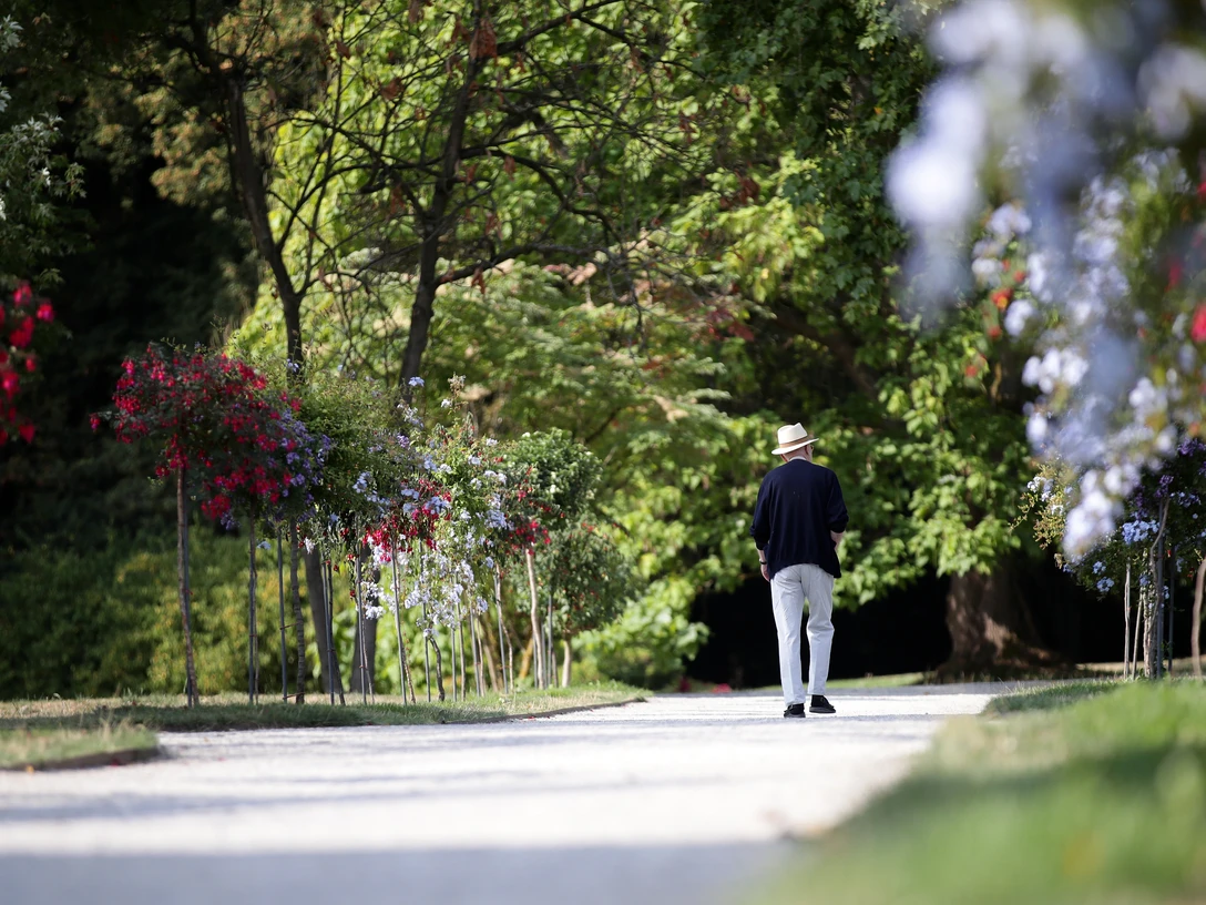 Kassel-Bad Wilhelmshöhe - Wilhelmshöhe Park Kassel-Bad Wilhelmshöhe - Wilhelmshöhe Park
