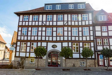 Brauner Hirsch in Osterwieck