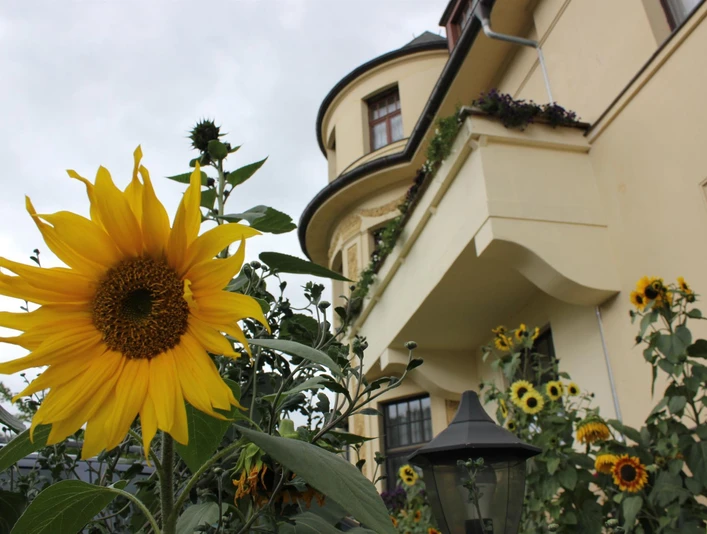 Pension Vogtländer Plauen