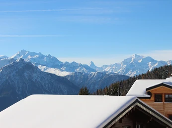 Chalet von oben Winter