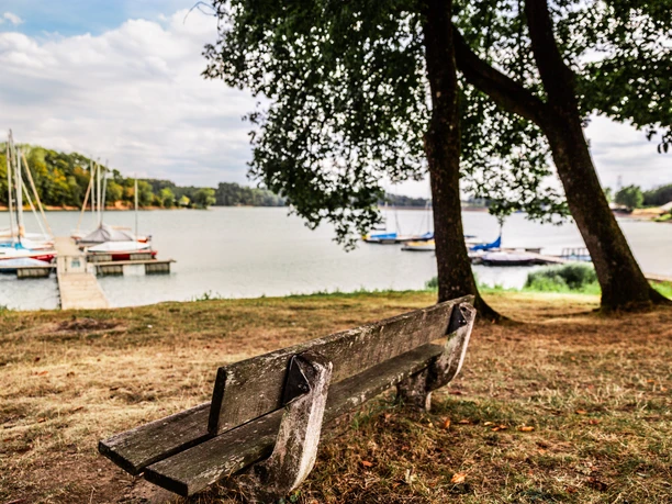 Bevertalsperre Eine Holzbank unter Bäumen bietet Ausblick auf einen ruhigen See mit Segelbooten und einem Steg.