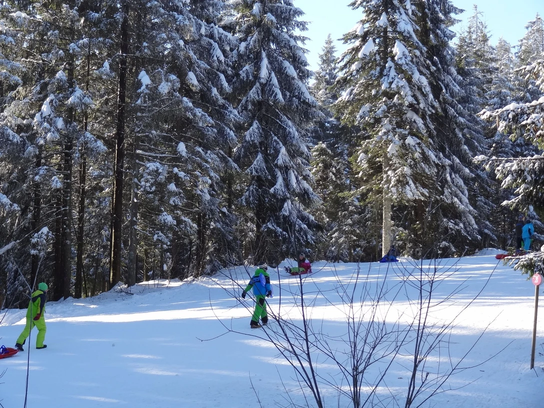 Rodelhang am Ruhestein