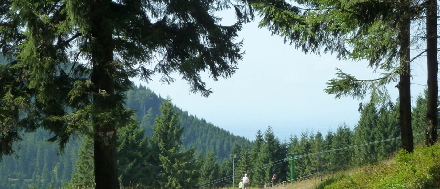 Sesselliftfahrt am Ruhestein