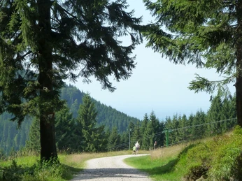 Sesselliftfahrt am Ruhestein