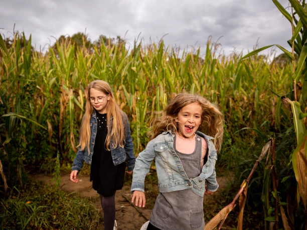 Spaß im Maislabyrinth Zwei fröhliche Mädchen laufen durch ein Maisfeld an einem bewölkten Tag, lachend und voller Energie.