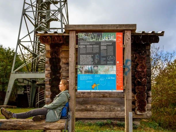 Infotafel am Baumweg Frau sitzt entspannt vor einem hölzernen Wegweiser mit Informationstafel, im Hintergrund ein Turm.