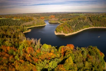 Blick auf einen weitläufigen, von herbstlich gefärbtem Wald umgebenen, geschwungenen See unter blauem Himmel.
