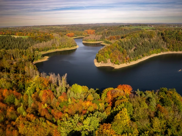 Wahnbachtalsperre Blick auf einen weitläufigen, von herbstlich gefärbtem Wald umgebenen, geschwungenen See unter blauem Himmel.