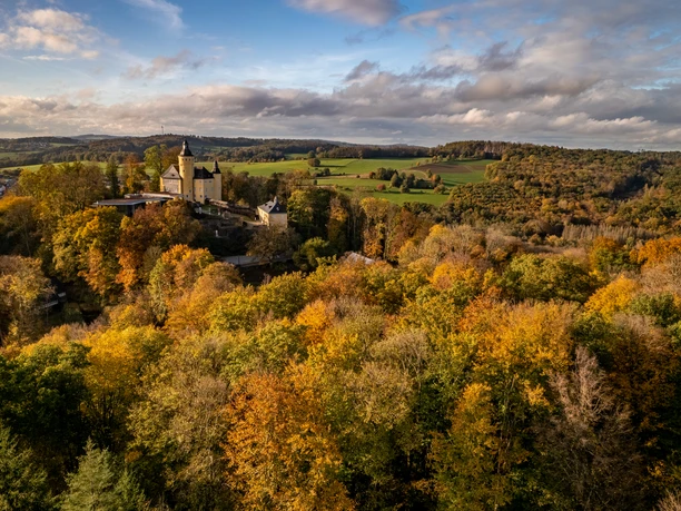 Schloss Homburg Luftaufnahme einer Burg, die von herbstlich gefärbtem Wald und hügeliger Landschaft umgeben ist.